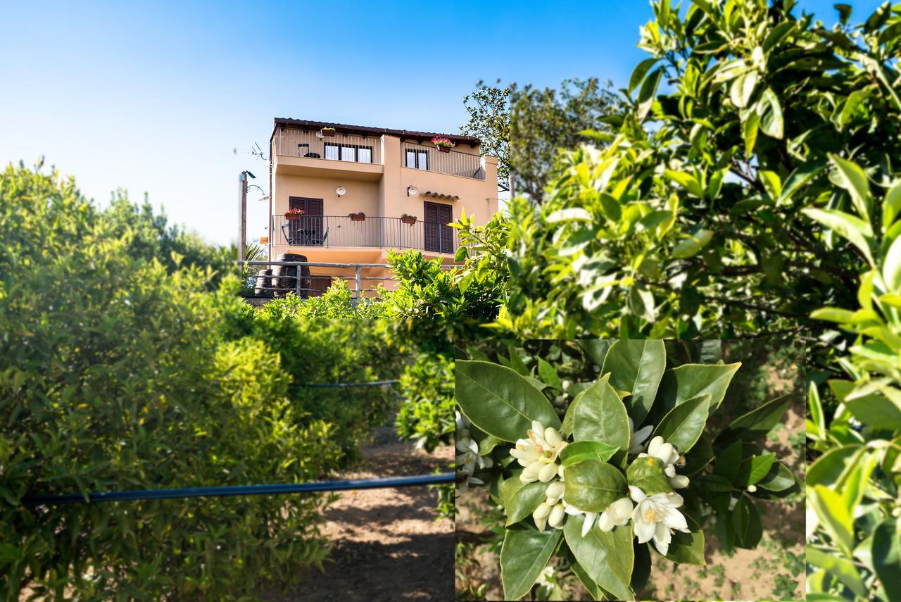 Parco Dei Templi Bed and Breakfast Agrigento Eksteriør billede